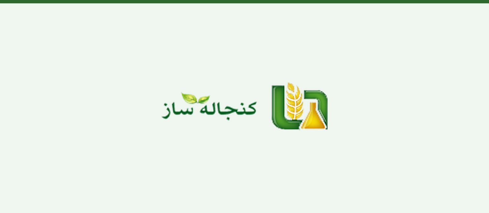 مراحل تبدیل شکوفه به میوه سیب؛ رشد و تغذیه در هر مرحله