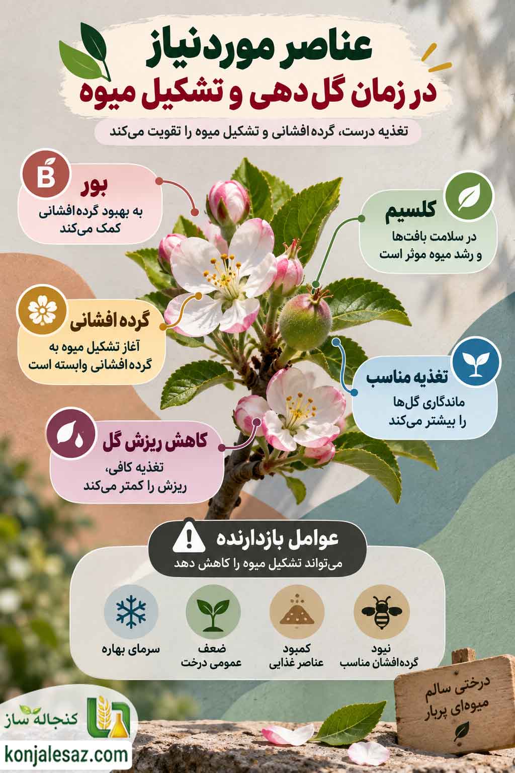 عناصر موردنیاز در زمان گل دهی و تشکیل میوه