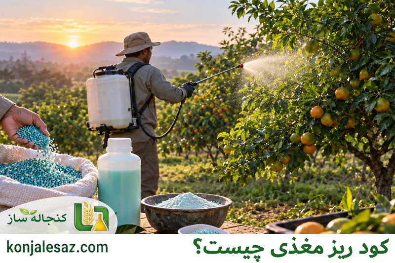 کود ریز مغذی