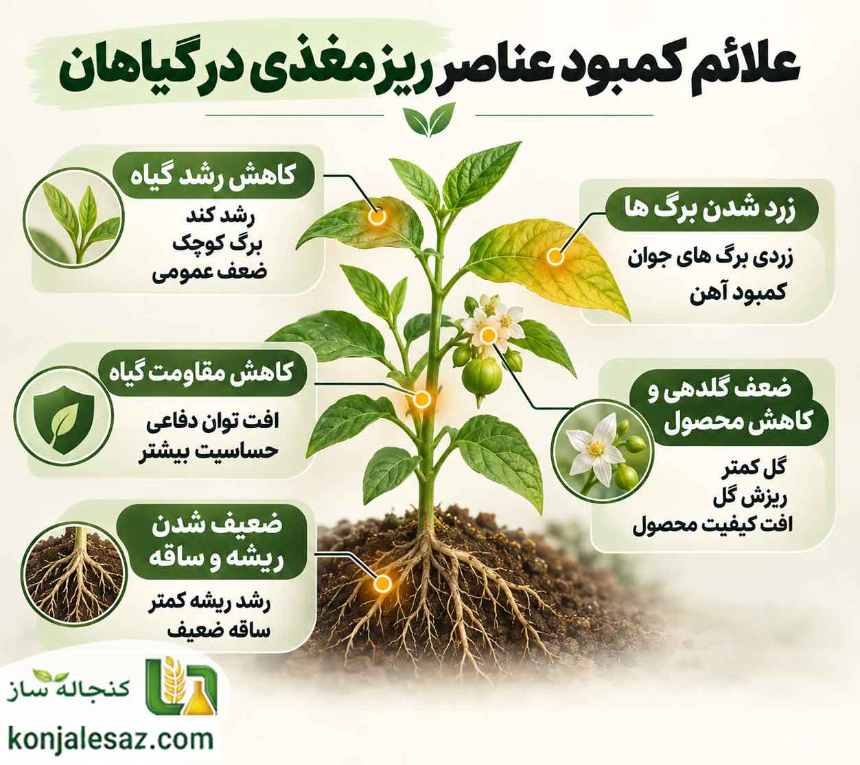 علائم کمبود عناصر ریز مغذی در گیاهان