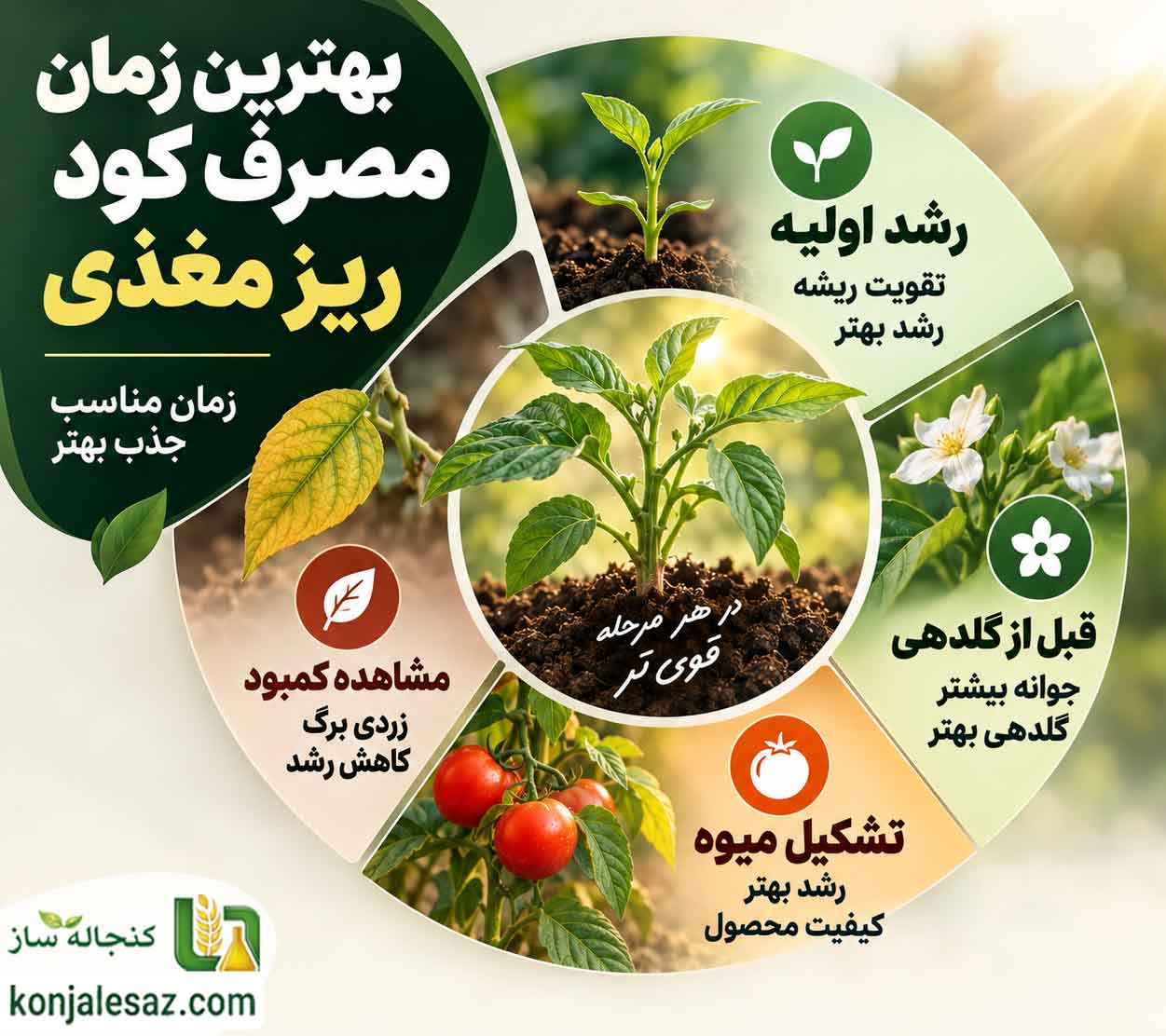 بهترین زمان مصرف کود ریز مغذی