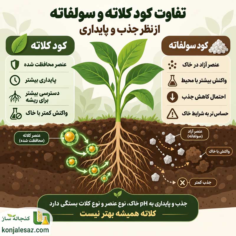 تفاوت کود کلاته و سولفاته از نظر جذب و پایداری
