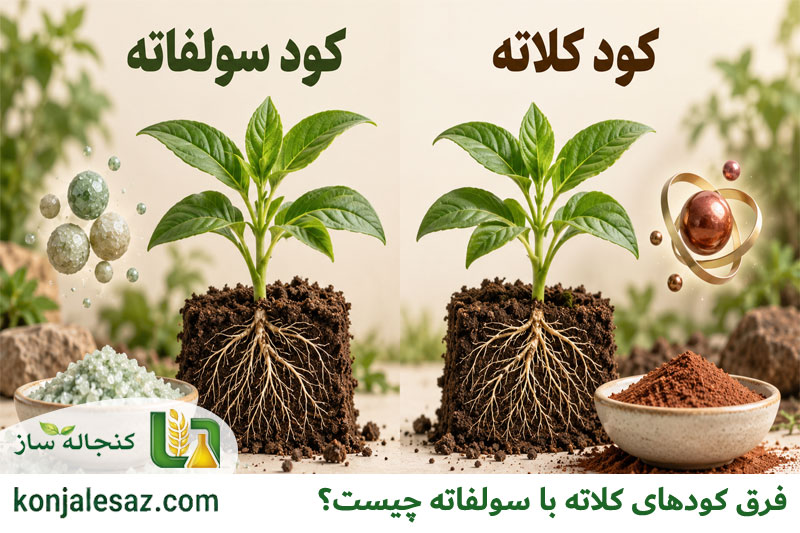 فرق کودهای کلاته با سولفاته