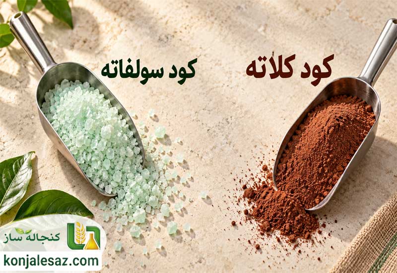 کود کلاته بهتر است یا سولفاته؟