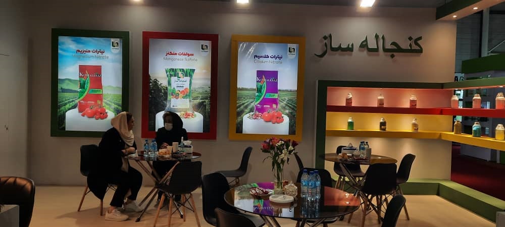 تصویر 7 از 36